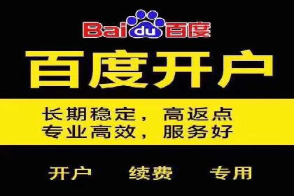 SEM竞价实战技巧，案例讲解与应用